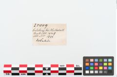 Etiketten zu Bronzerollenkopfnadel (NHMW-PRAE-025009)
